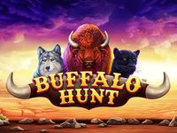 Buffallo Hunt